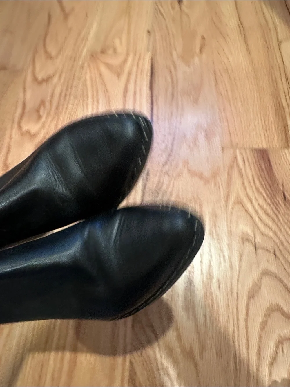 Treasure & Bond Black Pointed Toe Ankle Booties with Block Heel